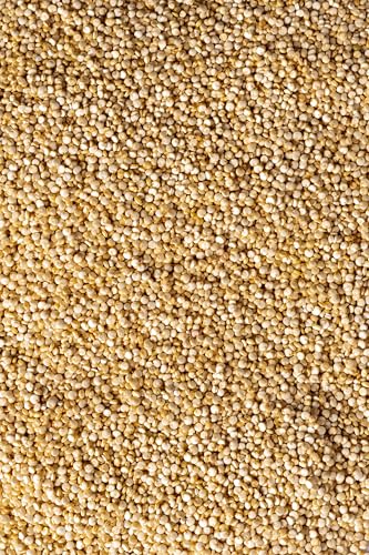 Biojoy BIO-Quinoa Samen weiß (1 kg), roh und ganz (Chenopodium quinoa)