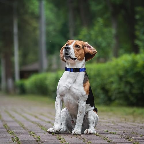 Miniatura 6 de AUDWUD Collar de nailon grueso, collar clásico ajustable para perro en varios colores, adecuado para perros pequeños, medianos y grandes, 4 tamaños
