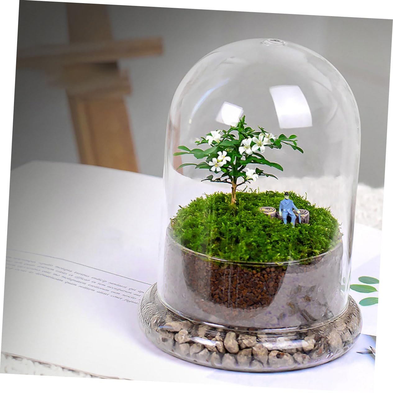 Terrario Micro Paesaggio DIY in Vetro, per Piante e Fiori