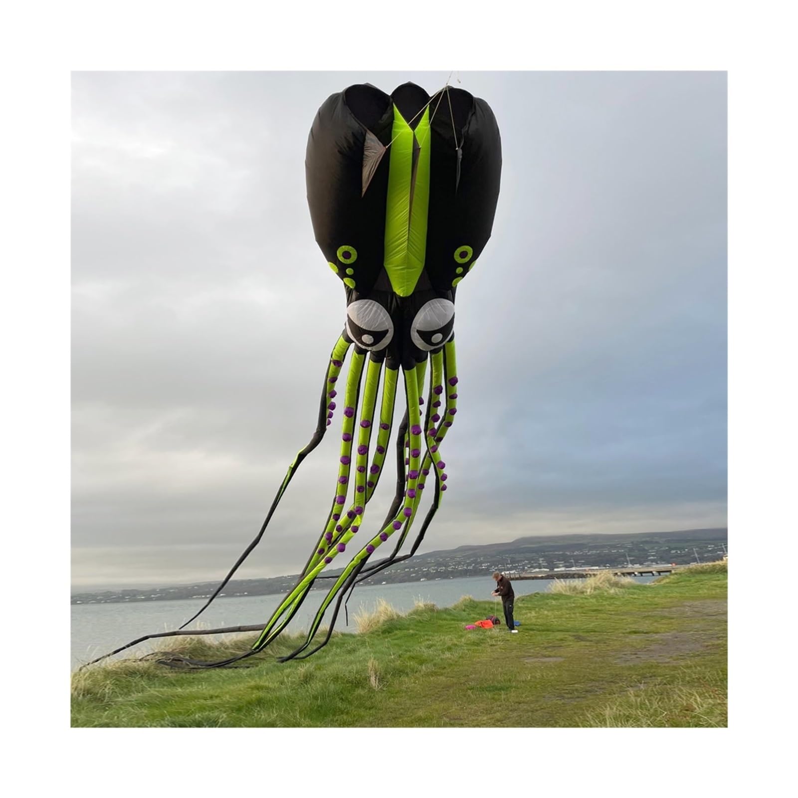 Cerf volant - Matériel de sport d'occasion