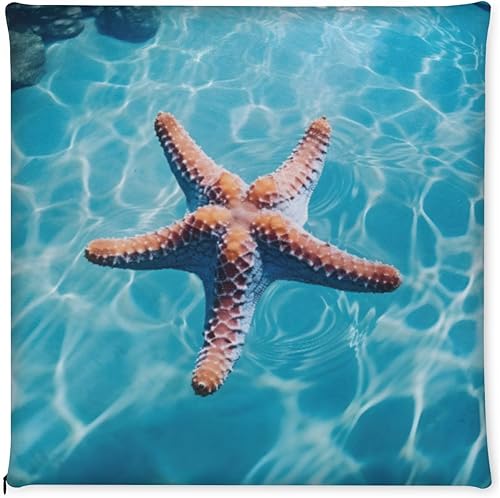 Miniatura 5 de Paquete de 1 cojín para silla, diseño de estrella de mar, de verano, playa, de espuma viscoelástica, cojín cuadrado extraíble para silla de cocina,