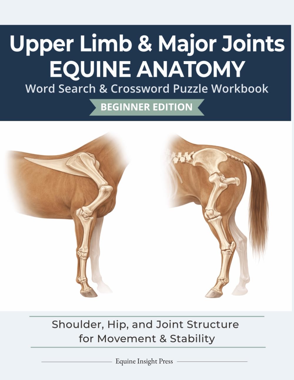Upper Limb & Major Joints Equine Anatomy | 8.5 x 11 | 122 pages | Puzzle Book | Beginner Edition: Shoulder, Hip, and Joint Structure for Movement & Stability (Equine Anatomy Puzzle Workbooks)