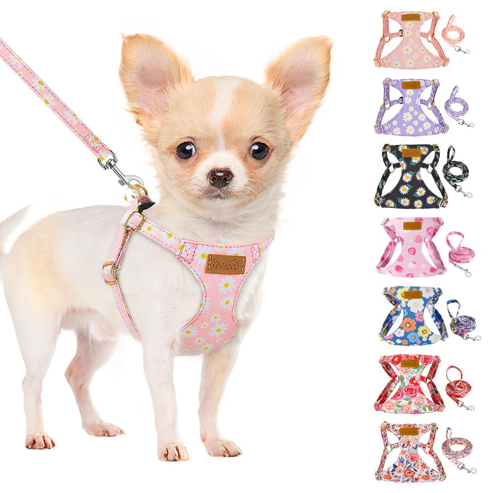 SlowTon Puppy Harness and Leash Sets - Adjustable Lightweight Harness for Small Dogs Kitten, No Pull Escape Proof Vest Harness for Outdoor Walking Running Training Small and Medium Sized Dog