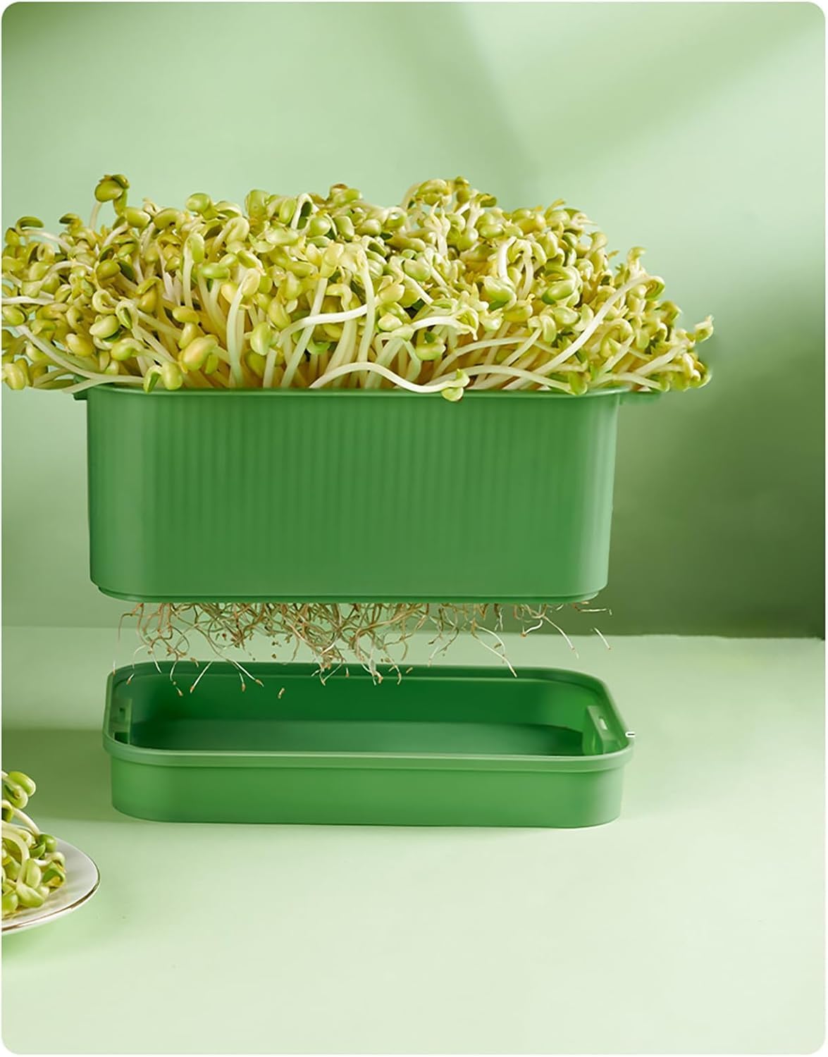 Plateau de semis pour germination hydroponique pour haricots, soja et autres germes