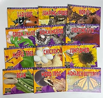 Paperback Creative Teaching Press Life Cycles Variety Pack (3083) Book