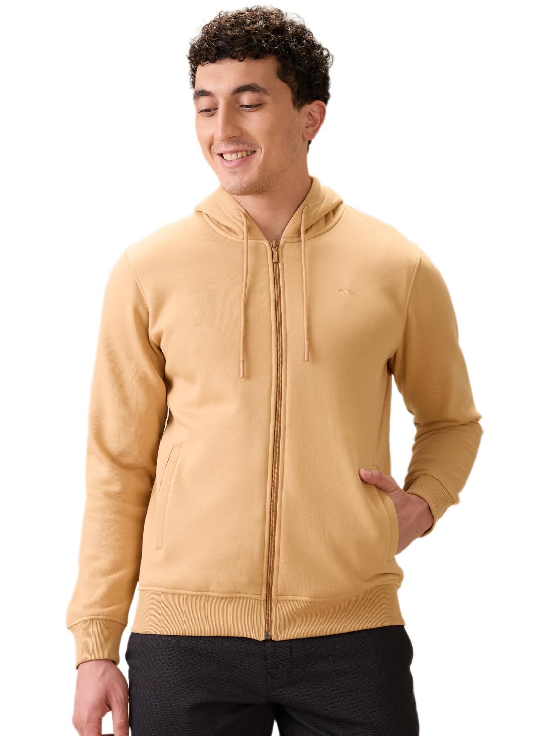 colorplus Men Full Sleeve Regular Fit Solid Pattern Cotton Polyester Blend Henley Neck Henley Neck Casual Sweatshirt-picture-14
