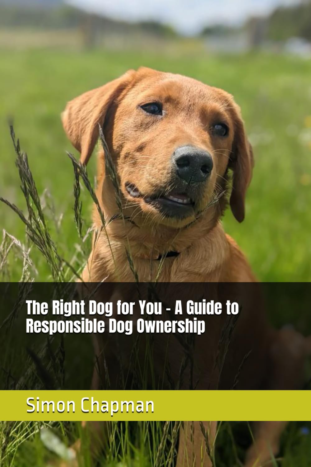 The Right Dog for You – A Guide to Responsible Dog Ownership