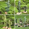 EOIVSH Desert Diorama Supplies with Cactus Kit and Model Palm Tree, Artificial Greenery Plant Cacti Decoration, Desert Diorama Project Sandbox Cake Topper Landscape Scene #1