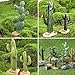 EOIVSH Desert Diorama Supplies with Cactus Kit and Model Palm Tree, Artificial Greenery Plant Cacti Decoration, Desert Diorama Project Sandbox Cake Topper Landscape Scene