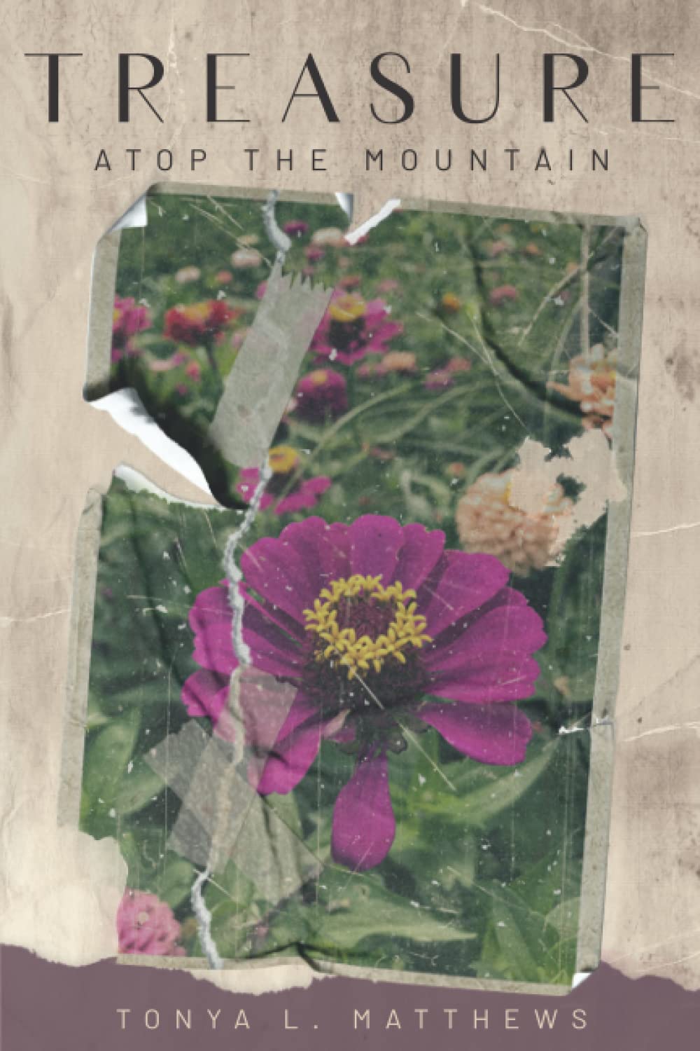 Treasure atop the Mountain