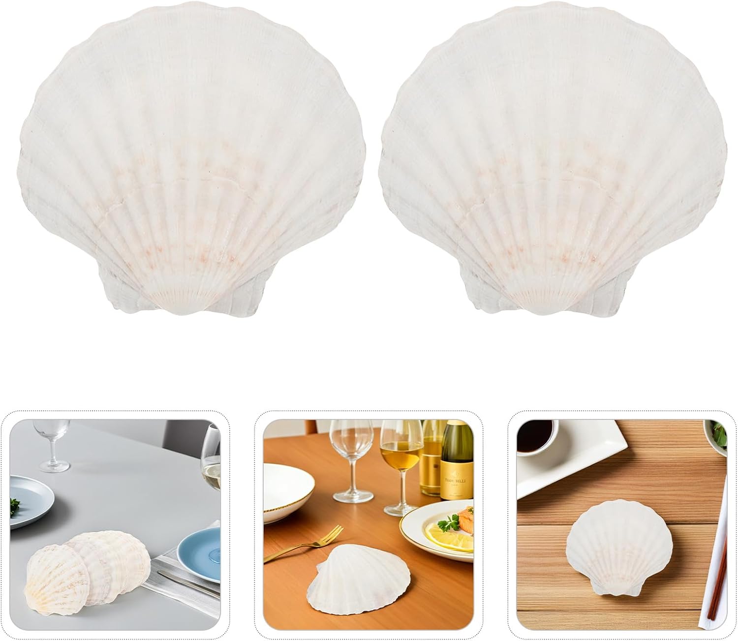 NUOBESTY 20pcs Natural Scallop Shells 10-12cm Reusable Shell Baking Dish for Seafood Grilling and Serving Beach Ocean Tableware for Bbq Parties under The Sea Events
