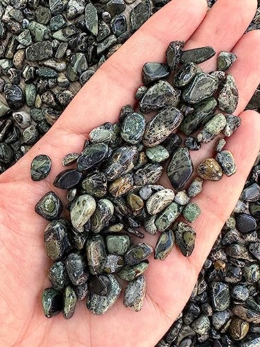 Image of GAF TREASURES 2 oz Lot Natural Semi Tumbled Gemstone Chips, Crushed Mini Crystals, Undrilled Crystal Chips (Kambaba Jasper)