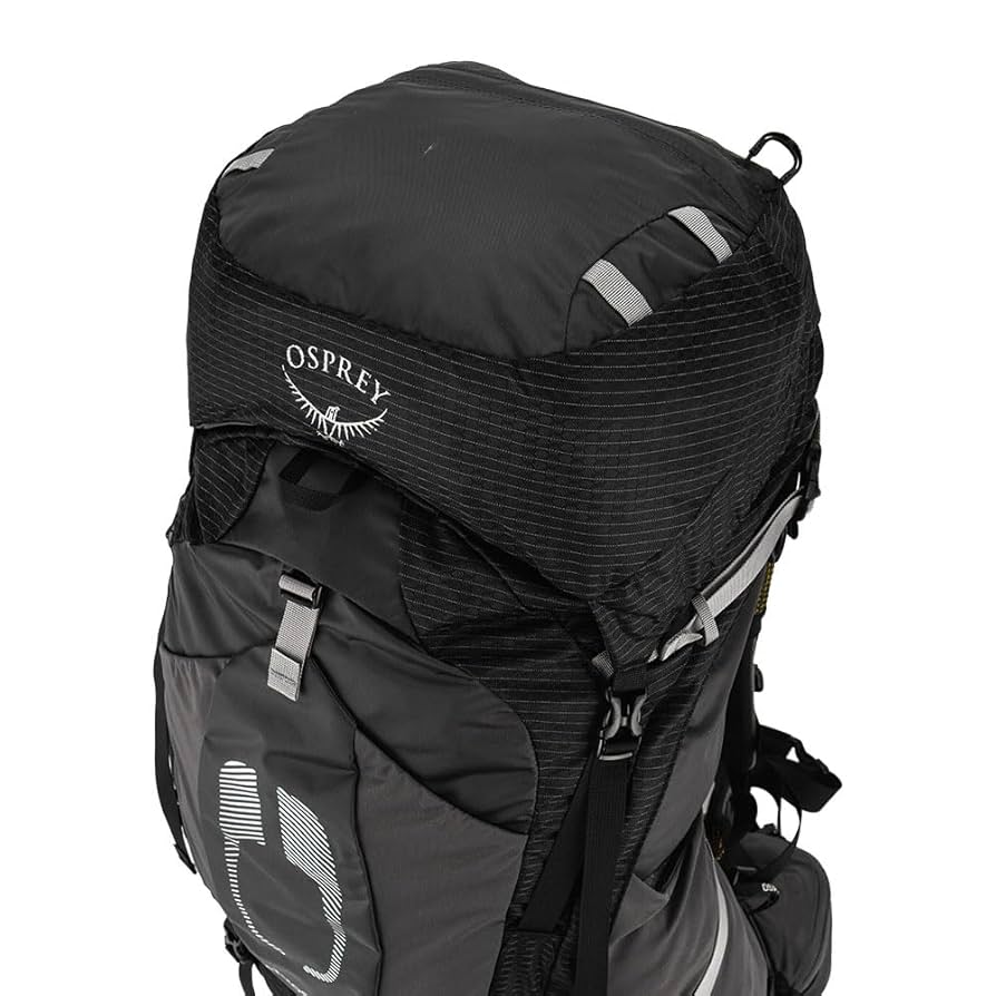 Amazon.co.jp: オスプレー Osprey バックパック リュックサック