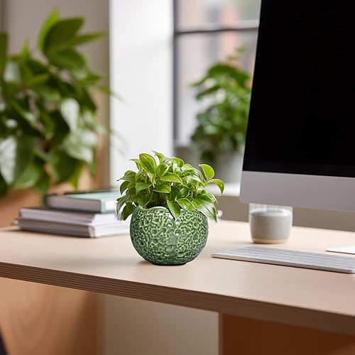 Miniatura 3 de Macetas de Cerámica Thirtypot - Maceta de 4 Pulgadas con Agujero de Drenaje, Macetas Pequeñas para Plantas de Interior y Exterior, Maceta Redonda