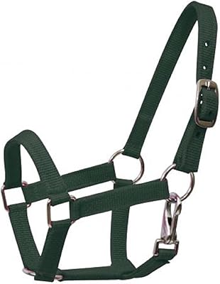 Showman Nylon Miniature Halter Mini Nickle Plated Hardware Throat Latch (Hunter Green)