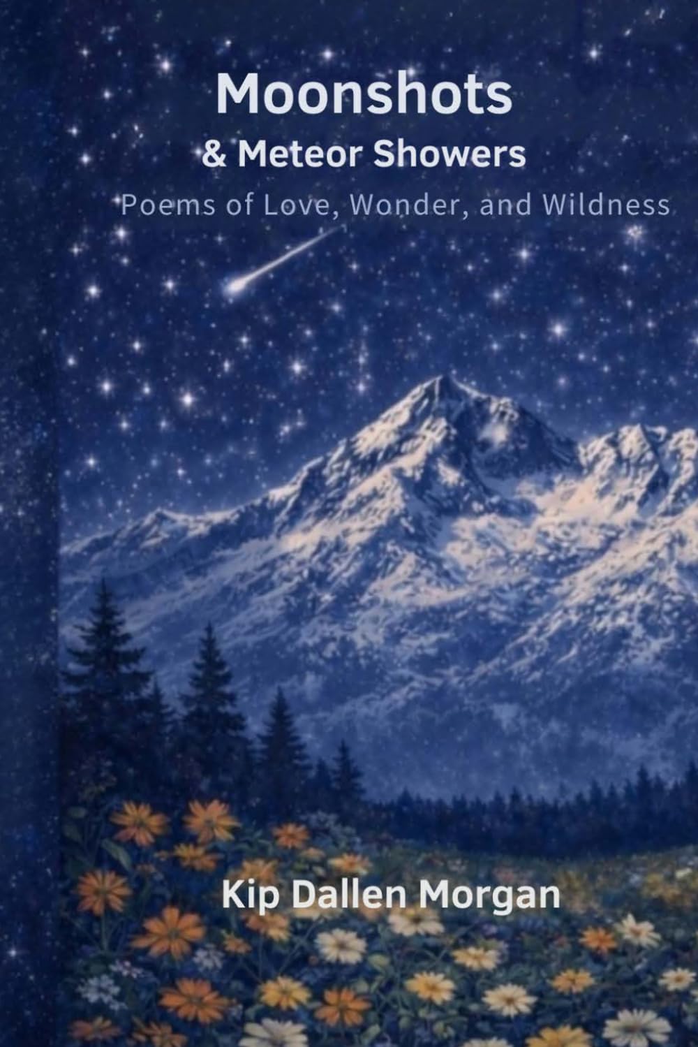 Moonshots & Meteor Showers