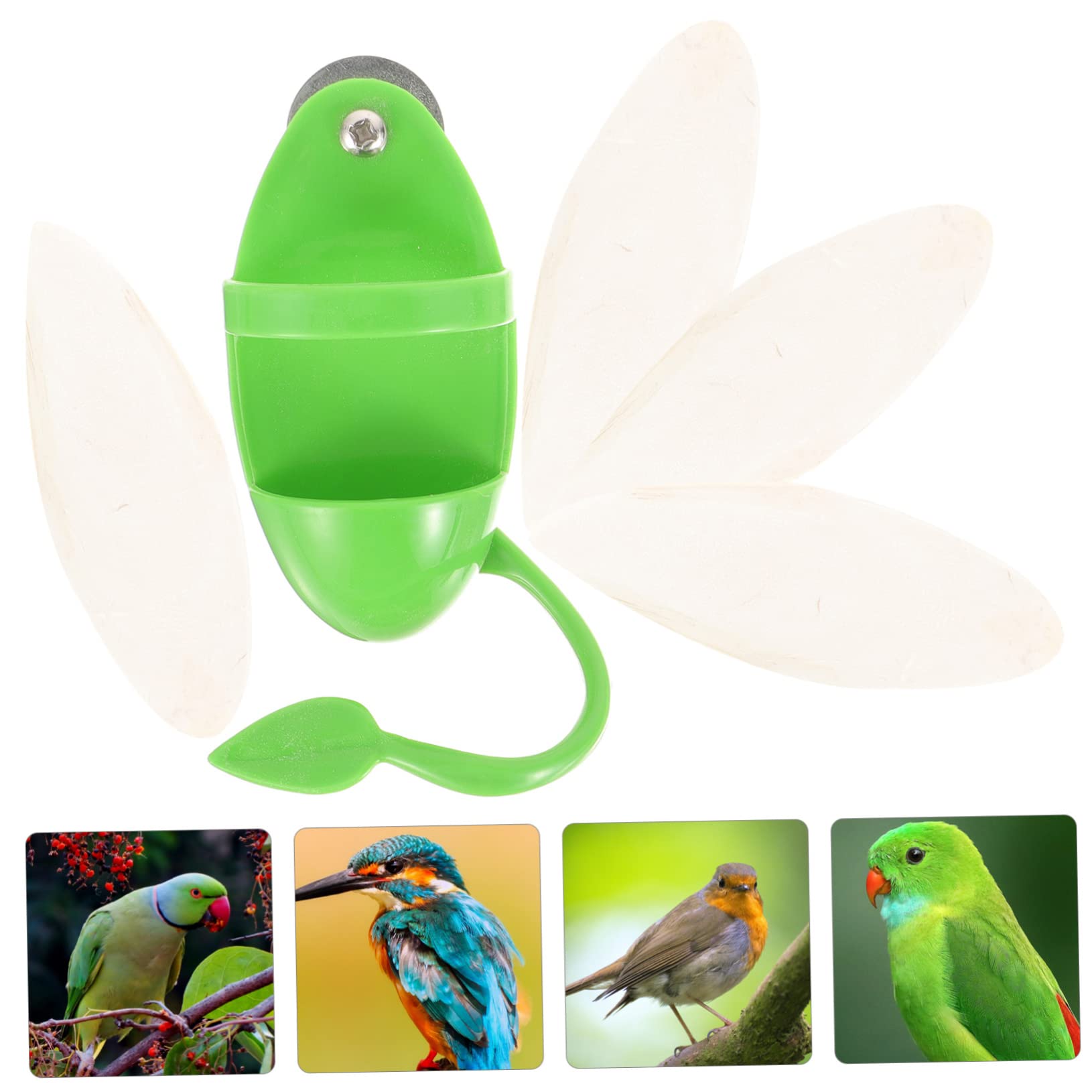 Mipcase 5ensembles Mangeoire Suspendue pour Oiseaux avec Support De Seiche Accessoire Pratique pour Perroquets Perruches Et Autres Oiseaux pour Fruits Et Légumes