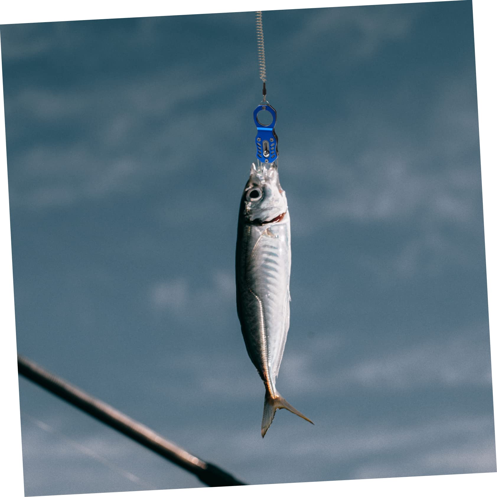 BESPORTBLE 2pezzi Pinza Per Pesca Inossidabile Multifunzione e Leggera Strumento Portatile Per Catturare Pesci Con Manico Ergonomico Per Appassionati Di Pesca All Aperto