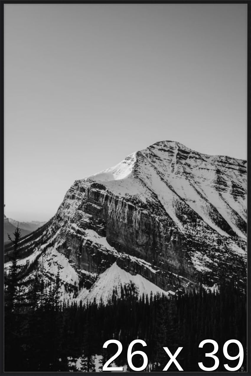 Frame It Easy 26 x 39 Satin Black Metal Frame (Ashford)