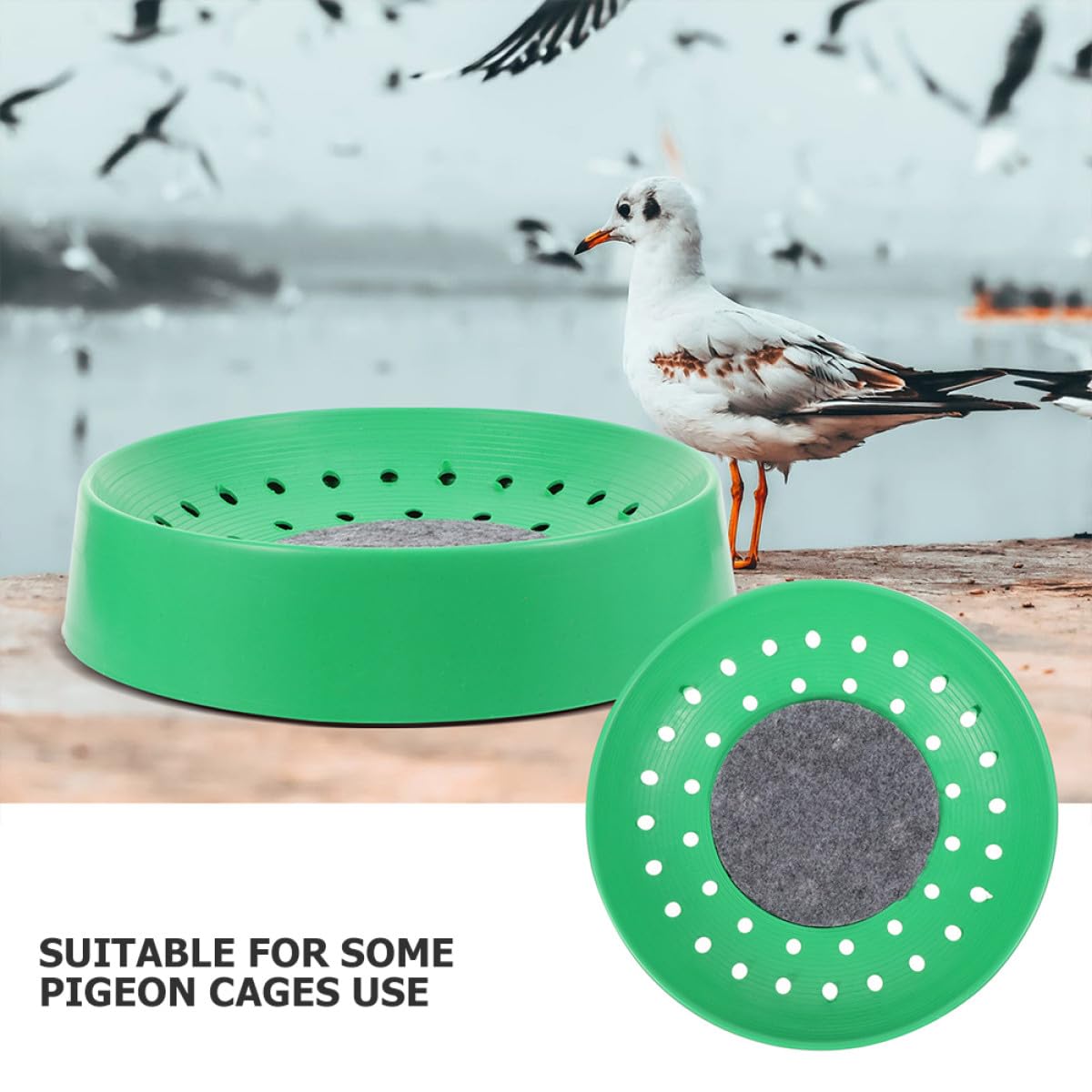 Amosfun 10 Pezzi Nido per Incubazione Uova di Piccioni in Plastica Resistente Rete Protettiva Fondo, Accessori per Gabbie di Uccelli, per Allevamenti Domestici e Negozi di Animali
