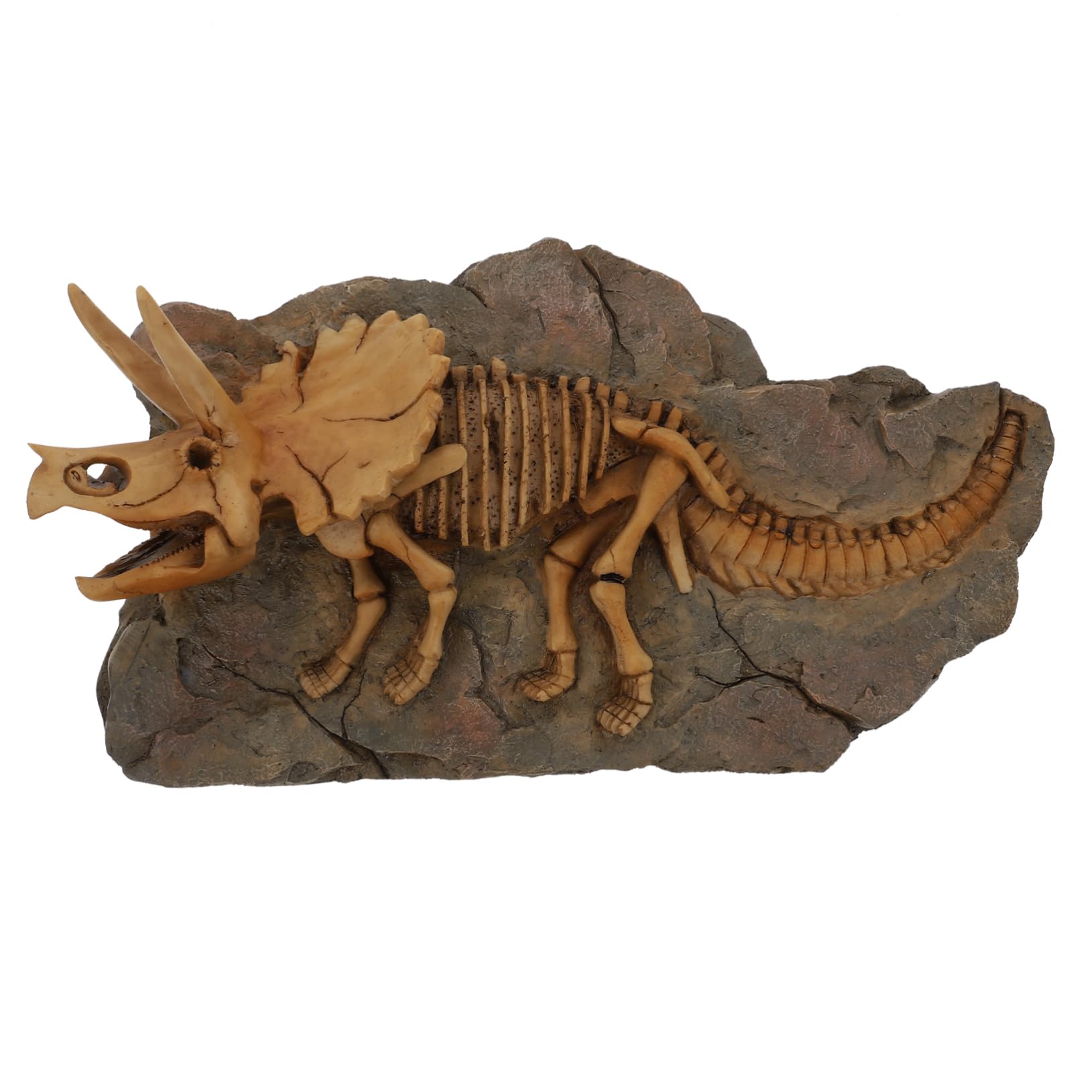 Zerodeko Figura de Fósil de Dinosaurio en Resina para Pared, Marrón
