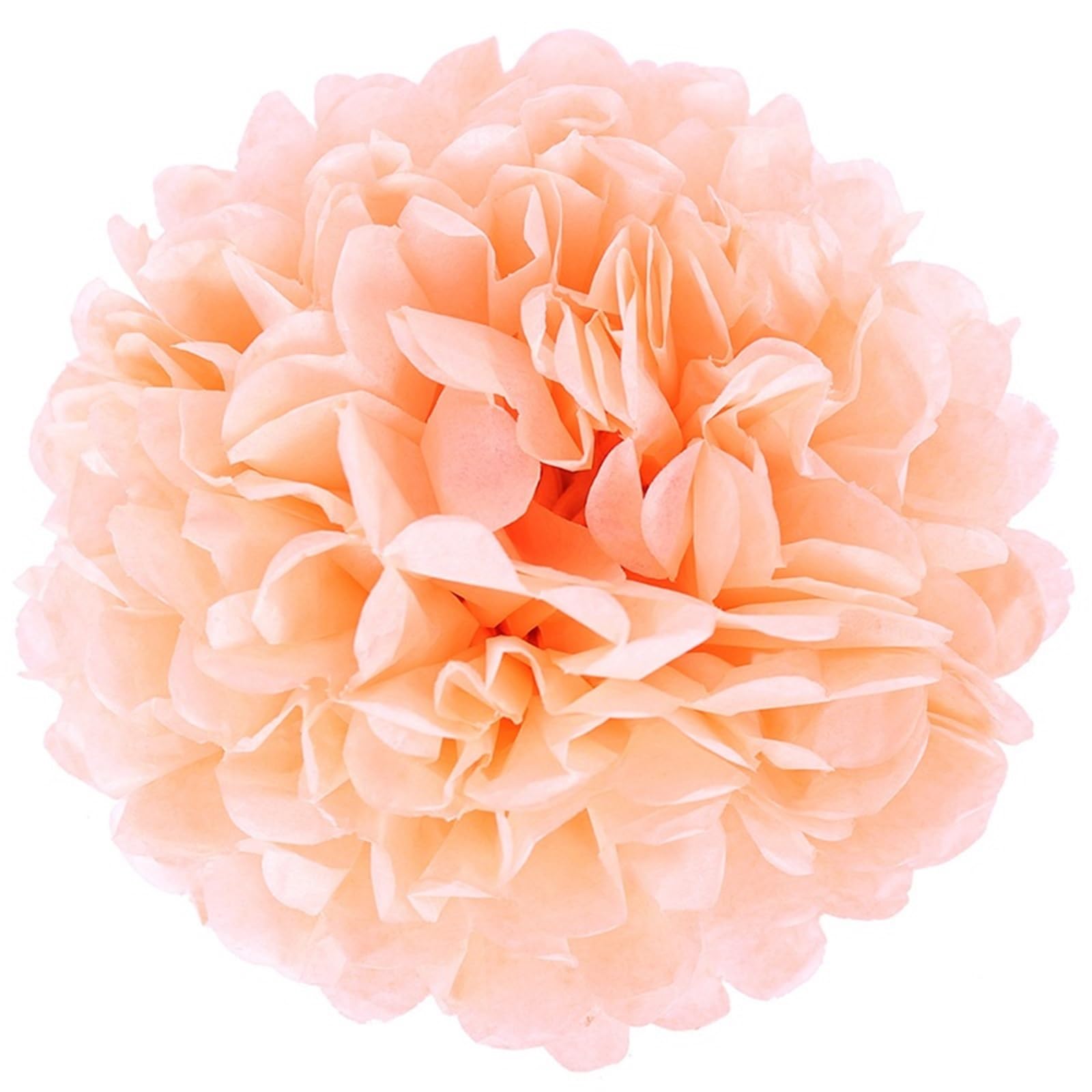 Paper Pompom 5pcs Wedding Decorative Paper Pompoms Pom Poms Flower Ball Party Home Decor Tissue Birthday DIY for Party(Color-06,20cm 5pcs)