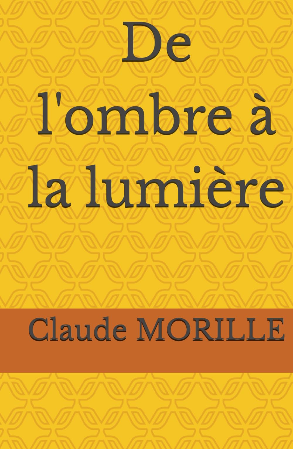 De l'ombre à la lumière
