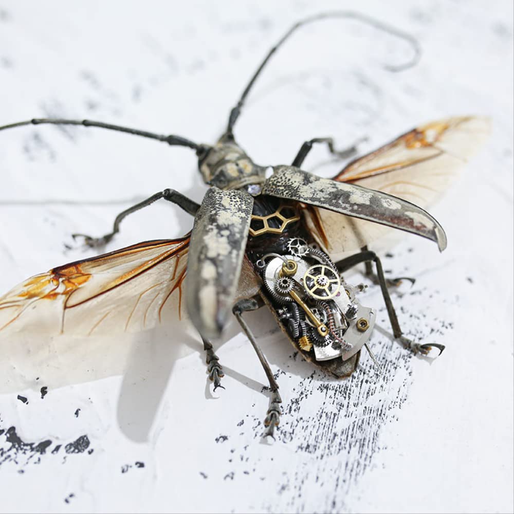 カミキリムシ標本 m78633234851_1.jpg?1724765262