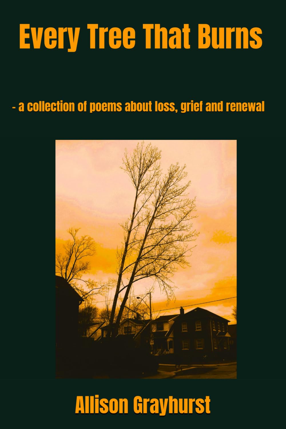 Every Tree That Burns: - a collection of poems about loss, grief and renewal