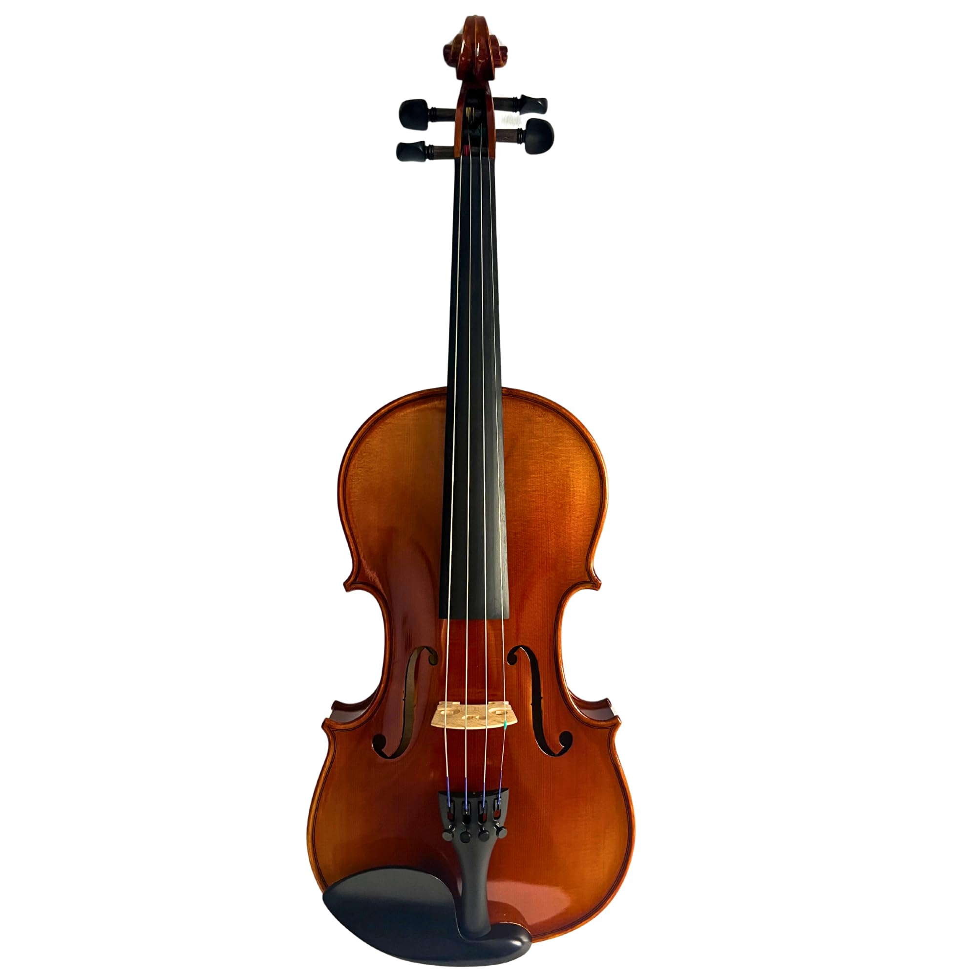 Amazon.com: Antonio Giuliani Primo Violin Full Size (4/4) Bundle