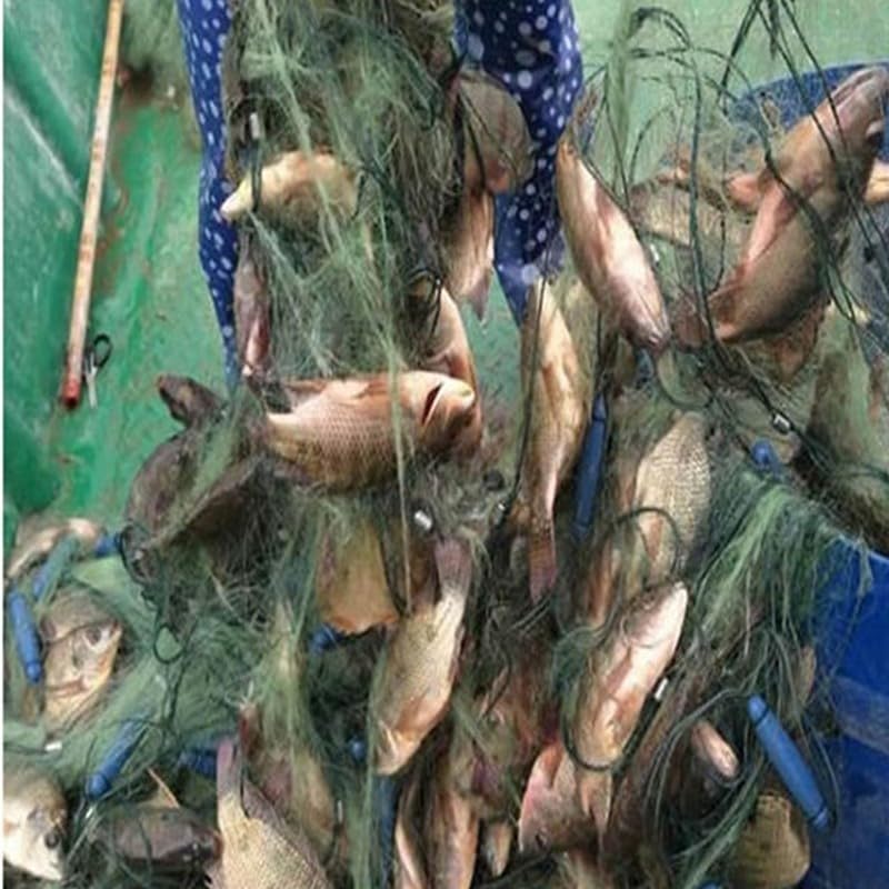 Fischernetz Kiemennetz 3m Tiefe 100m sinkende Fischerei Gill Net DREI Schichten Trammel -Netzwerk -Fischerei Gillnet Karpfenfischereiwerkzeuge Single Layer Monofilament Fischernetz