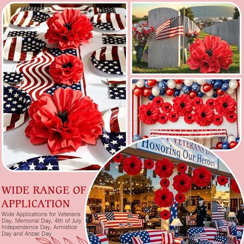 Image of TaoBary Large Colorful Tissue Paper Flowers Giant Fiesta Paper Pom Poms Classroom Wall Decor Mexican Birthday Party Decorations Wedding Backdrop(20 inch and 10 inch,Red, Black,12 Pcs)