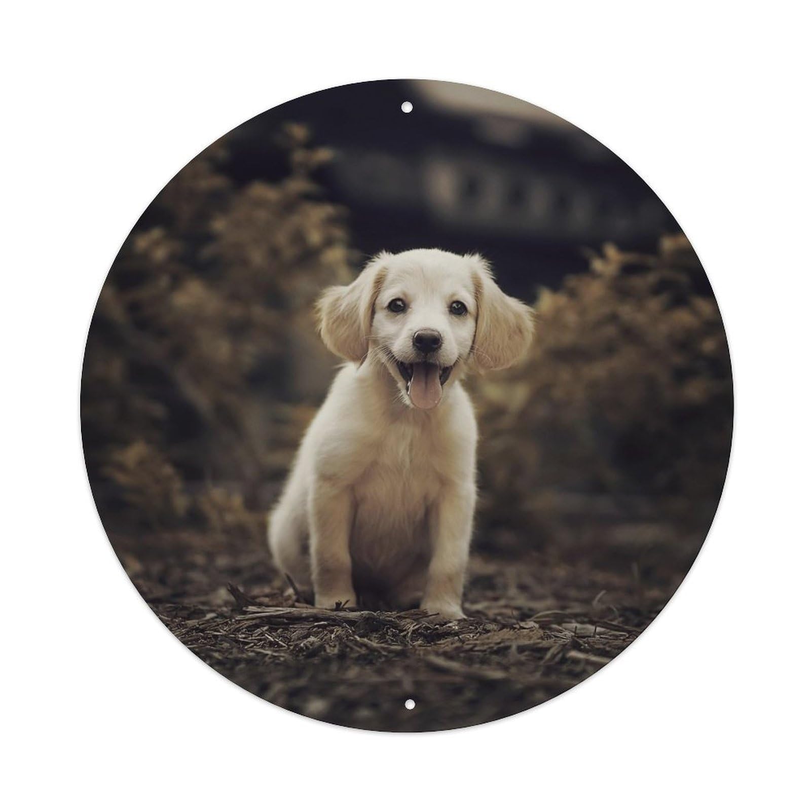 Cwbufd Vintage Style Golden Retriever Puppy Animal In Autumn Forest With Lush Foliage Warm Earth Tones Vintage Metal Tin Sign Plaque Wall Decor For Cafe, Club Bar, Office, Garden Metal Poster 8X8inch