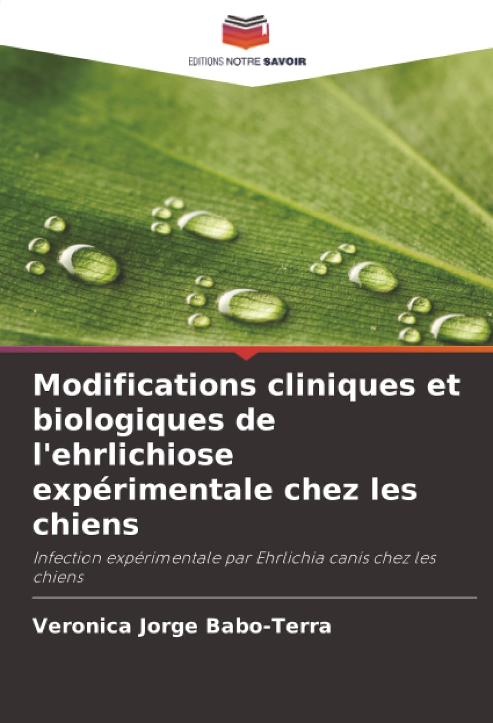 Modifications cliniques et biologiques de l'ehrlichiose expérimentale chez les chiens: Infection expérimentale par Ehrlichia canis chez les chiens