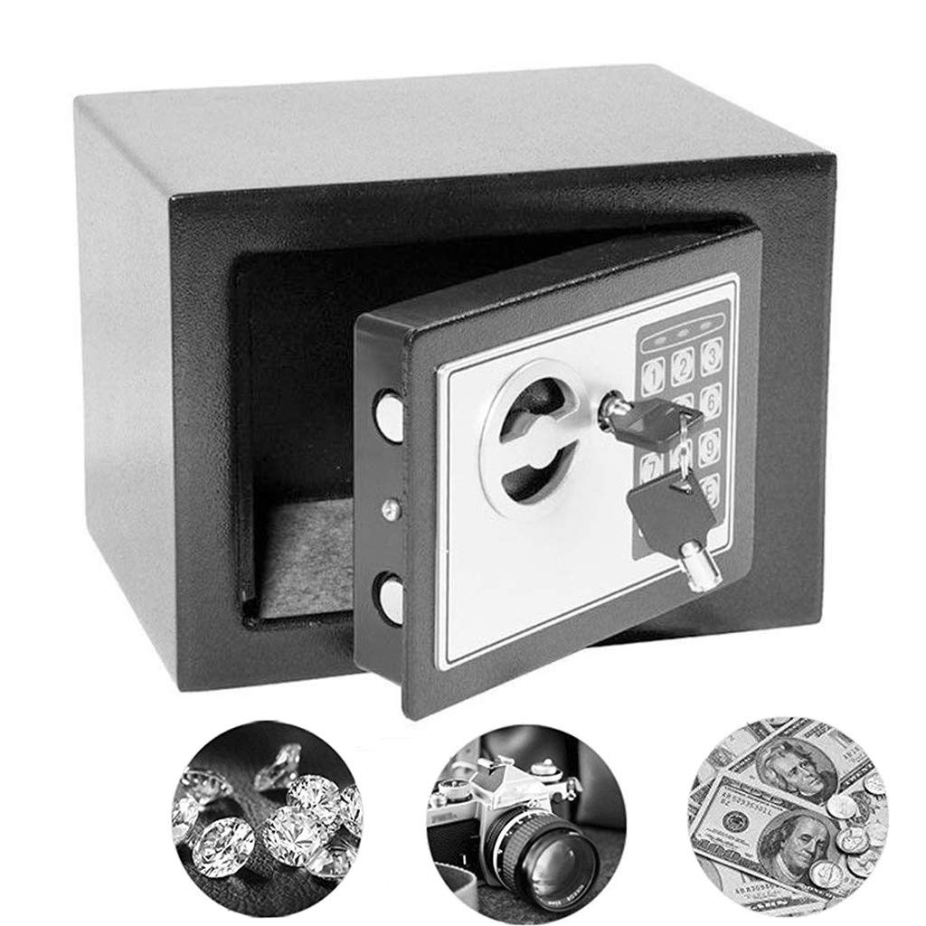 Cassaforte digitale da 4,6 l, in acciaio massiccio, per gioielli, pistole, contanti, oggetti di valore, macchina fotografica, documenti, con tastiera elettronica a 2 tasti, grande, 4,5 l, grigio