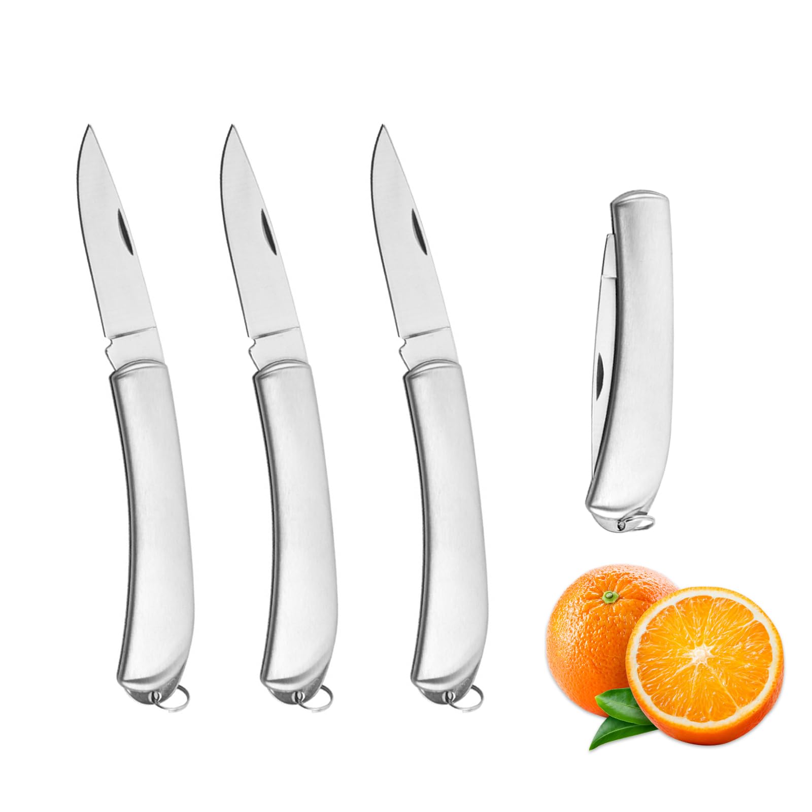 Ailelan Fruit Knife, 4 Pack Small Kitchen Knife Sets, Sharp and Durable Folding Pocket Knives Set Small, Stainless Steel Fruit Knives for Most Vegetables, Fruits and Meat