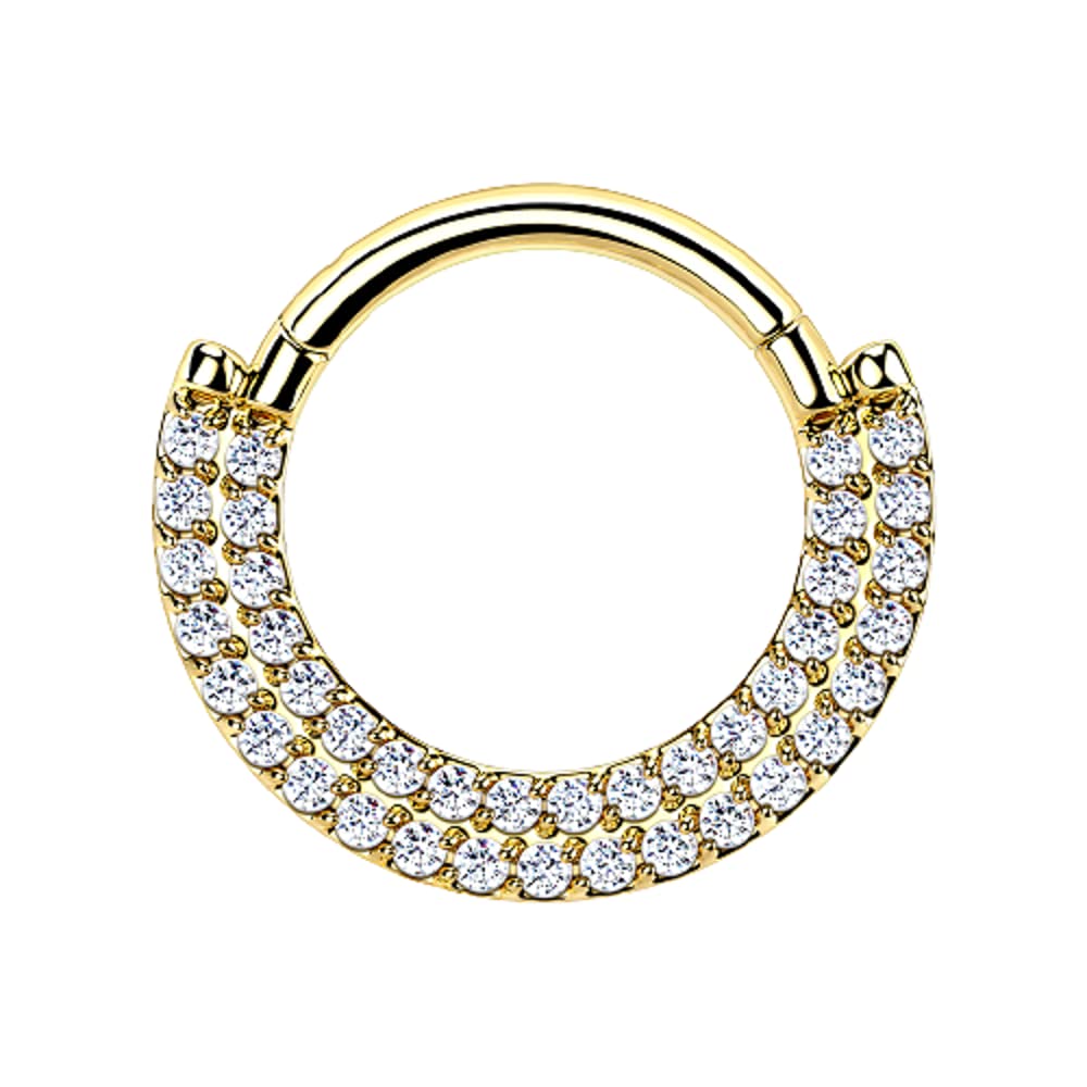 Pierced Owl - 16GA G23 Implant Grade Titanium Double CZ Crystal Lined Cartilage Helix Daith Septum Hinged Segment Ring