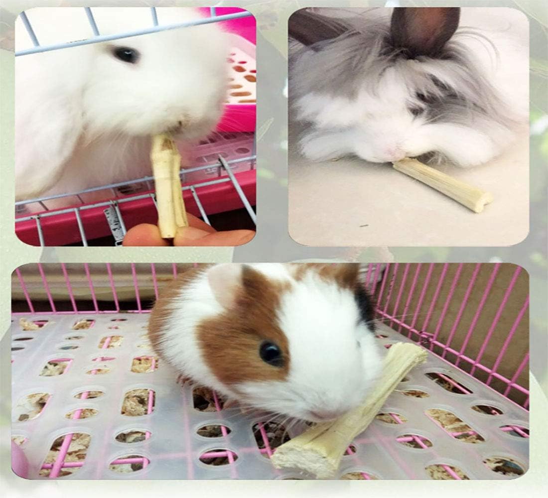 Photo inspiration: Dental Hot Chews For Guinea Reference: Ferret Teeth Sungrow Natural Chew Balls 3 Pack Seagrass Rattan