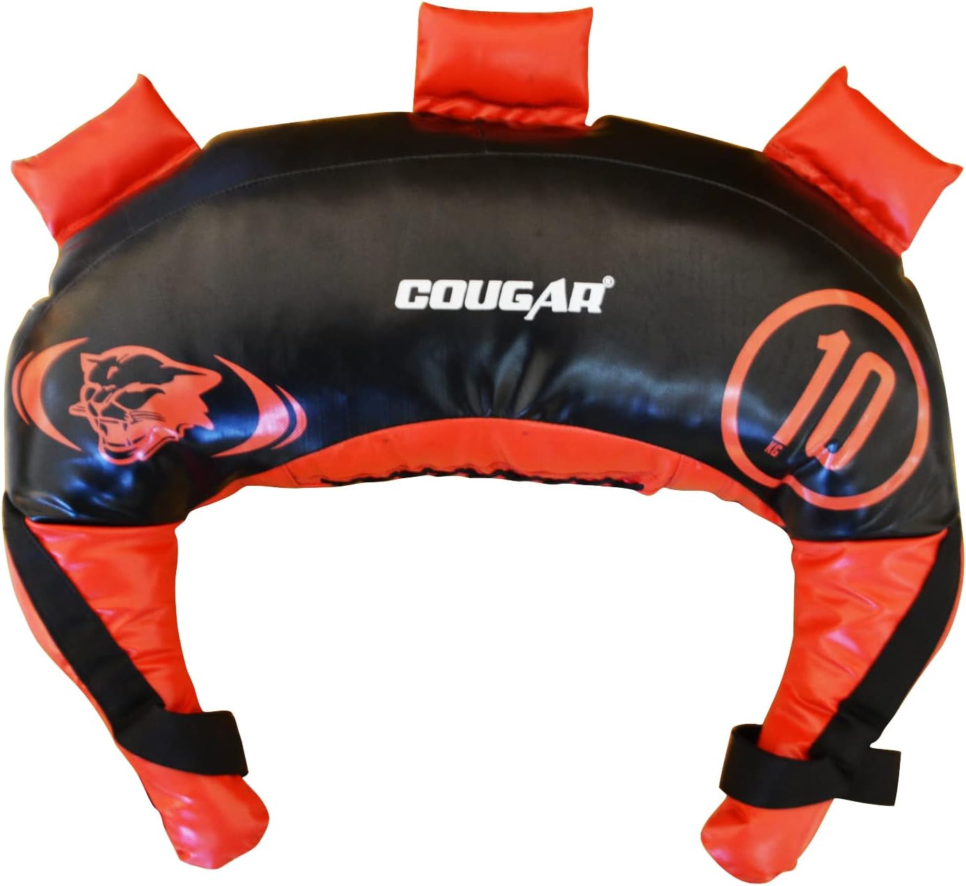 Strength Training Bag for Fitness Gym Training, Crossfit, Wrestling, MMA Bulgarian Sand Bag Available in Weight 10 Kg