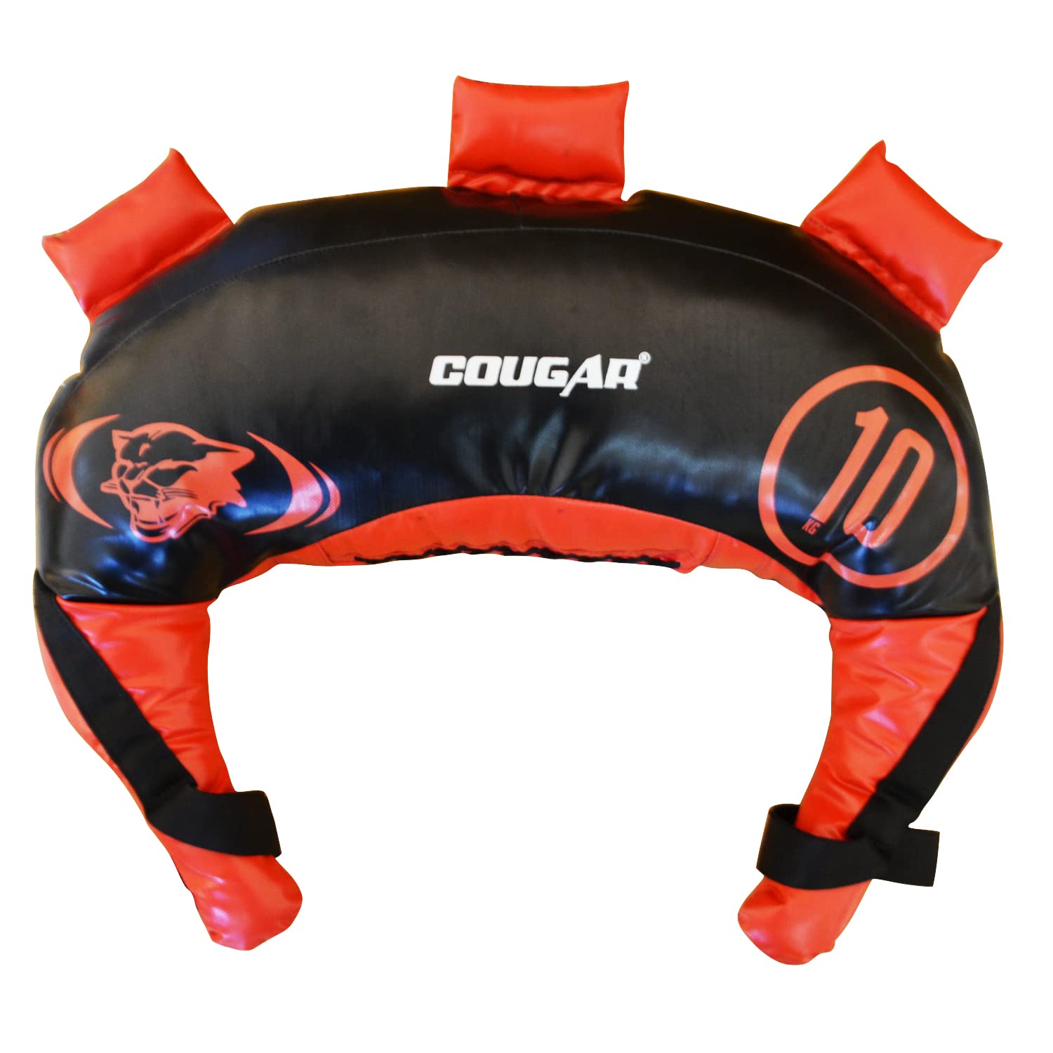Strength Training Bag for Fitness Gym Training, Crossfit, Wrestling, MMA Bulgarian Sand Bag Available in Weight 10 Kg