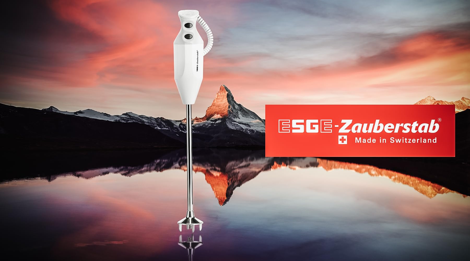 ESGE-Zauberstab G 350 Gastro Max 90890 - Batidora de mano (incluye accesorios, hasta 22.000 rpm), color blanco y gris | Batidora de inmersión con 2 niveles de velocidad (18.000/22.000 rpm), censura y mango ergonómico, fabricado en Suiza