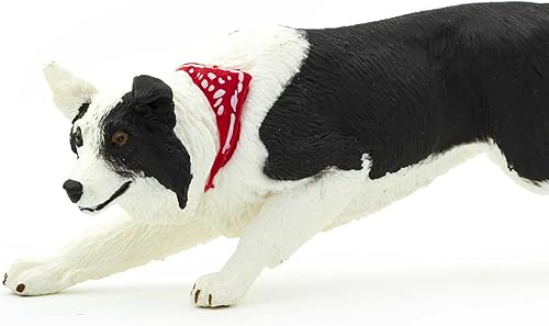 Miniatura 6 de Safari Ltd. Figura de Border Collie – Figura detallada de plástico de 5 pulgadas – Divertido juguete educativo para niños, niñas y niños a partir de