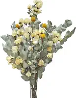 Buquê de Flores Desidratadas Elegante Eucalipto de Cheiro