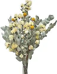 Buquê de Flores Desidratadas Elegante Eucalipto de Cheiro