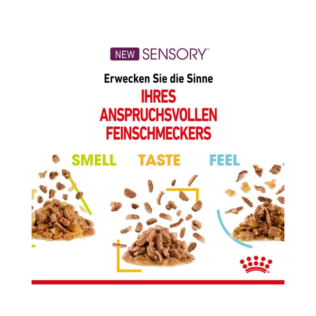 Royal Canin Sensory Multipack | Pack de 4 | 4 x 12 x 85 g | Alimento Completo para Gatos Adultos | Olor, Sabor, Sensación