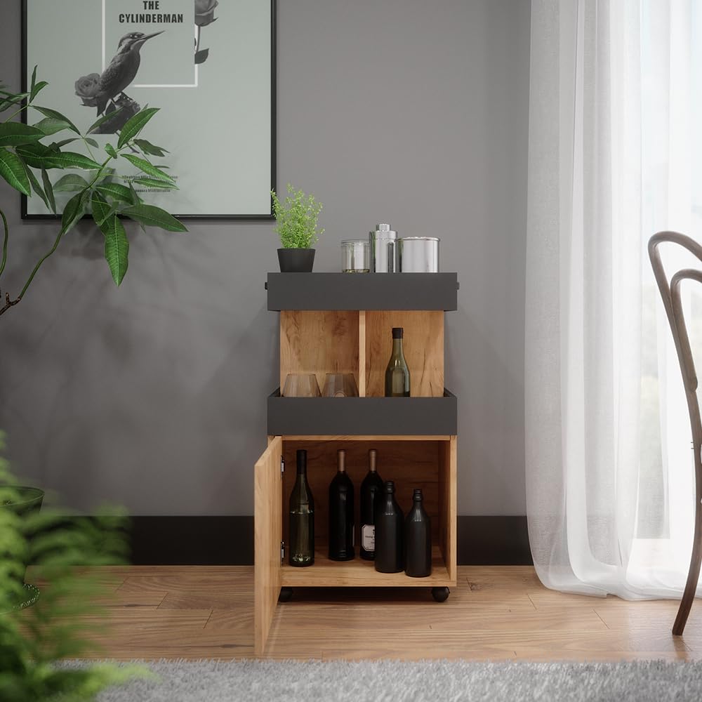 Vicco Hausbar Minibar Getränkebar Kamber Tür rollbar Ablage Fach Regal