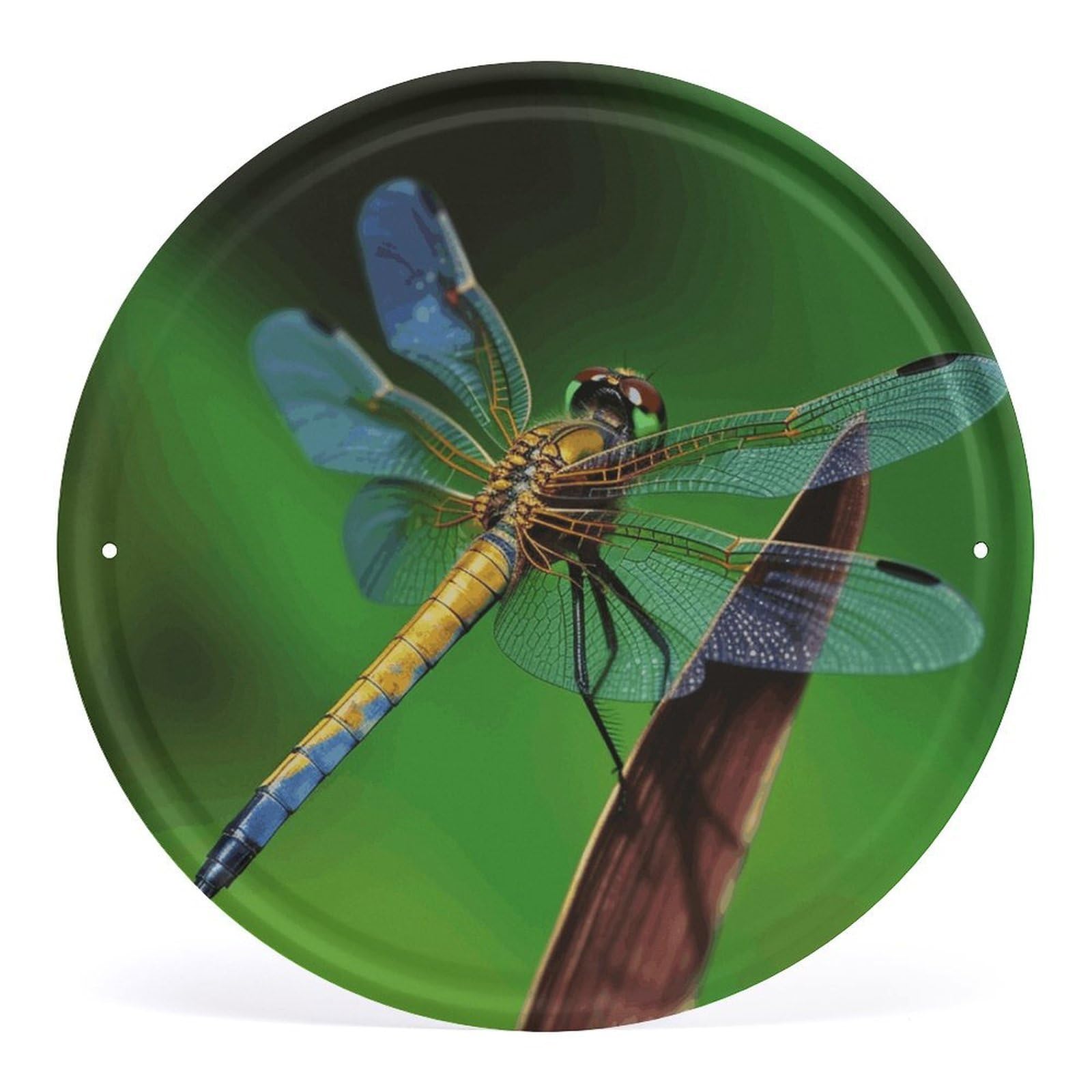 Fodpand Style Dragonfly Round Wall Art Hanging Decorations, Wall Decor Modern Minimalist Artwork, Tin Sign Hanging Picture For Living Room, Bedroom, Office, Hallway, 11.8X11.8 Inch