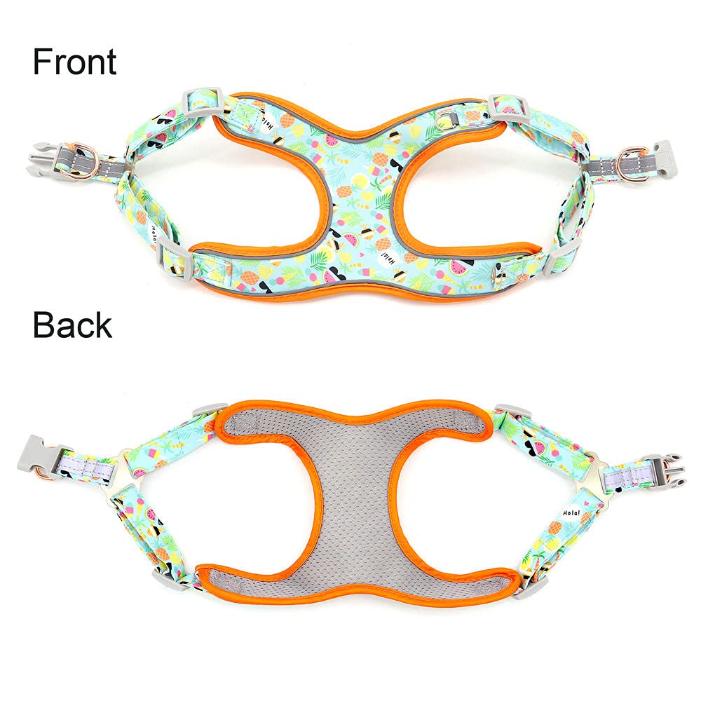 Correa para Mascotas, Juego de arneses para Perros y Gatos, Collar con Estampado Azul, Correa Personalizada para pasear Mascotas (S)