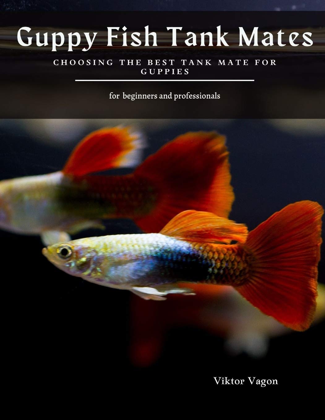 Buy Guppy Fish Tank Mates Choosing the Best Tank Mate for Guppies
