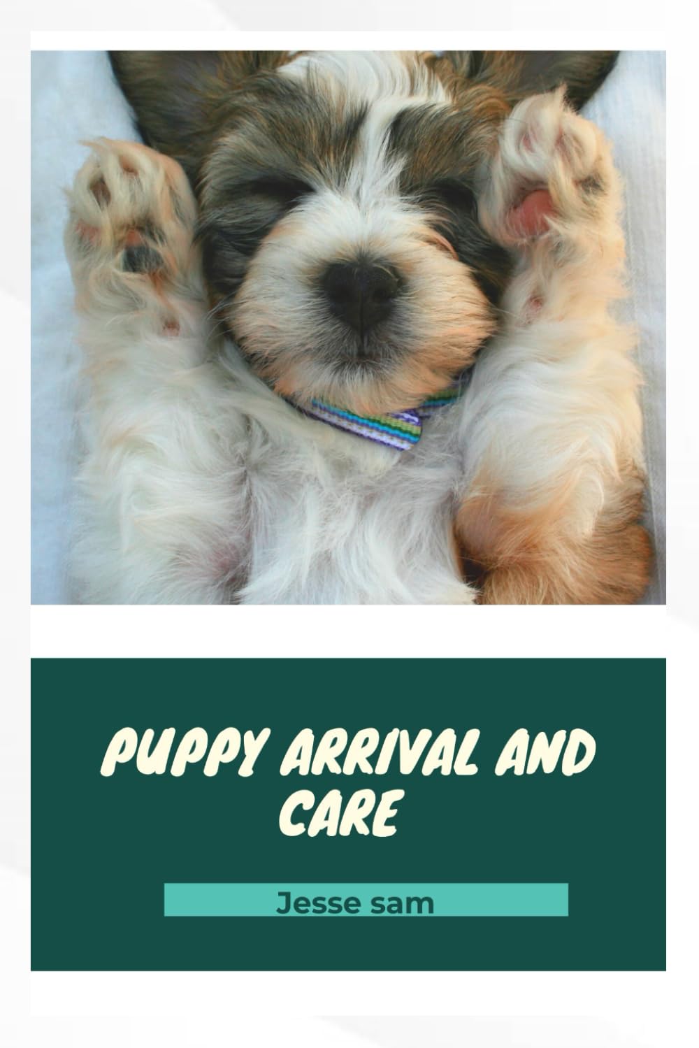 Puppy Arrival and Care